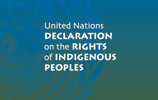 Celebrating 13 Years Of The UN Declaration On The Rights Of Indigenous ...